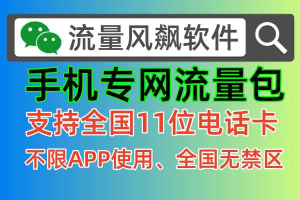 什么是手机专网流量包，官方正确为您解答